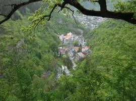 Borjomi Central Park Apartment