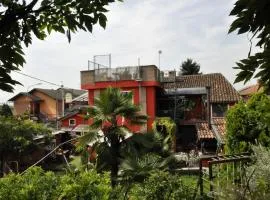 B&B Edera