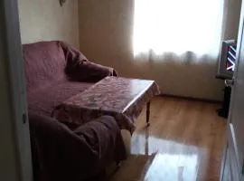 Ozolu street apartment