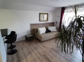 Apartments Bernard