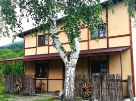 Guest House Pisnya Karpat, cabaña o casa de campo en Skole