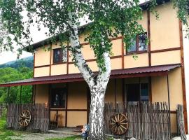 Guest House Pisnya Karpat，位于斯科列的酒店