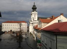 Apartament Barbara - przy rynku, hotel que acepta mascotas en Wadowice