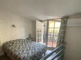 la Palmette , NOUVEAU ! climatisée et wifi
