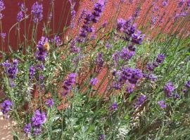 AMBER Dębki, hotel v destinaci Dębki