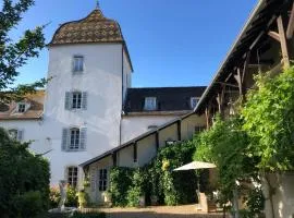 Appartement in Chateau Saint Claude an der Saone