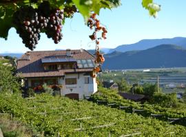 Finkenhof: Ferienwohungen - Urlaub auf dem Bauernhof, Hotel in Tramin an der Weinstraße