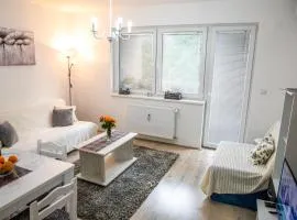 Apartman Ana