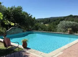 GITE COCOTTE LUBERON, FORCALQUIER