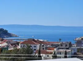 Apartment Petar
