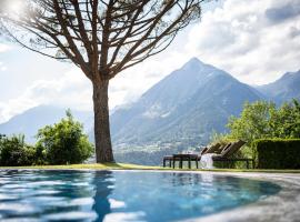 Hotel Erzherzog Johann, hotel u gradu 'Scena'