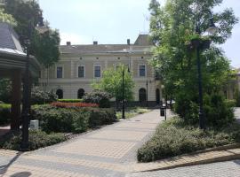 Deák Panzió, отель в городе Nagykőrös