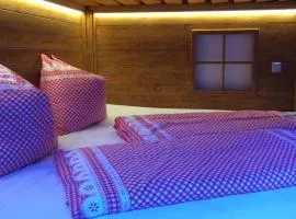 Apartmán Čučoriedka