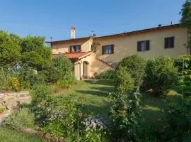 Villa Porcigliano Olive Grove