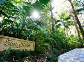 Songbirds Rainforest Retreat、タンボリーン・マウンテンのヴィラ