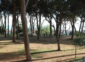 Maremma Holidays - Lamarmora Apartment