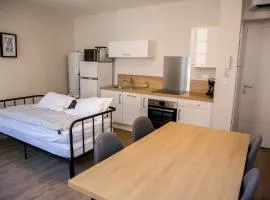 ALBIAPPART VIGAN centre ville