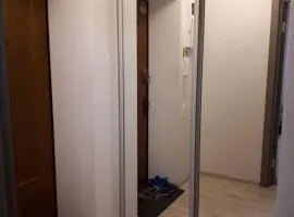 Apartment on Parusna, 2