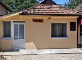 Centar
