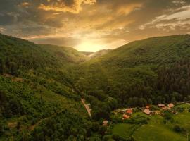 Medve Desag Ursul, hotel v destinácii Sub Cetate