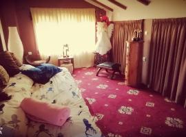 The House in the Meadow, hotel in Ioannina
