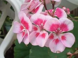 B&B Alle Piscine Verona