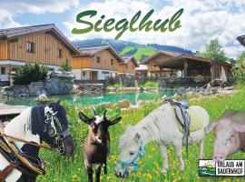 Sieglhub Chalets - Appartements - Hotel, hotel em Flachau
