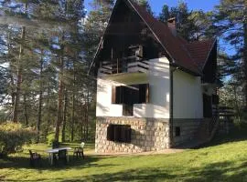 Zlatiborska kuća u šumi
