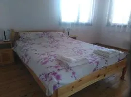 Town House on Ropotamo str.