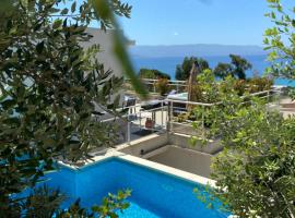 VIzzavona piscine et jacuzzi, maison de vacances à Ajaccio