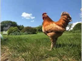 South Barlogan Farm