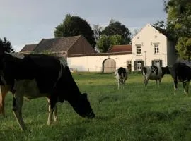 La Vache Contente