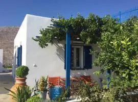 Cycladic houses in rural surrounding 3