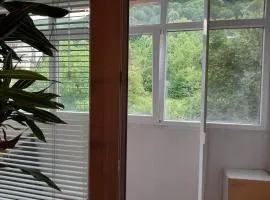 Apartment Milevi