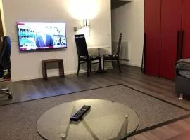 Top ausgestattete 1 Zi-Whg für Urlaub u Dienstreisen