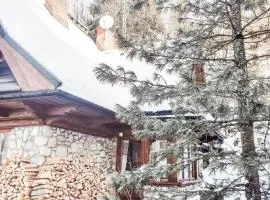 Apartament Jaworzyna