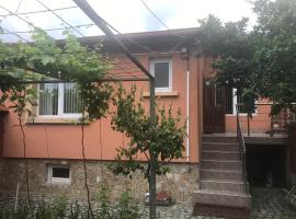 Tainov House, guest house in Samokov