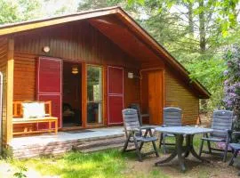 Beautiful Home In Neede With Wifi