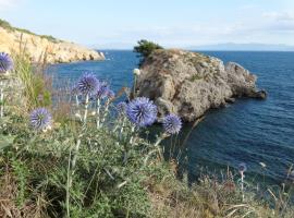 Apartamento Punta Montgo Port de Rei