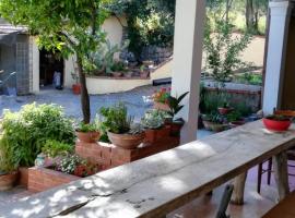 La Gallina Nel Castello