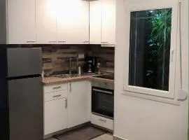The green apartment