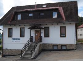 Penzion Pod Hamižnou, hostal o pensión en Hartmanice