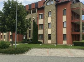 Lili Apartman Birdland Bükfürdő, hotel en Bük