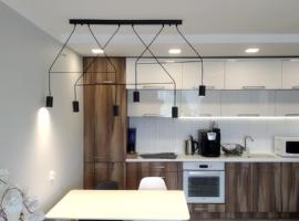 Family & Business Elegant Apartments Rynek Centrum Downtown - 2 Bedroom, Balcony, Parking, hotel in Kielce