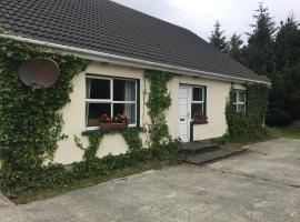 teach donal og – dom wakacyjny w mieście Falcarragh