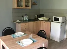 Metsalagendik Apartments