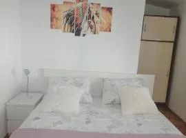 Apartman Ivo