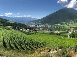 BUEHLERHOF Agriturismo, Obst-&Weingut, Urlaub mit Hund, Pferde, Bauernhof, Brixen、Rasaのファームステイ