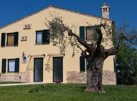 LA TANA DEL CINGHIALE