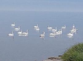 Takvåning-Borgholm, boende vid stranden i Borgholm